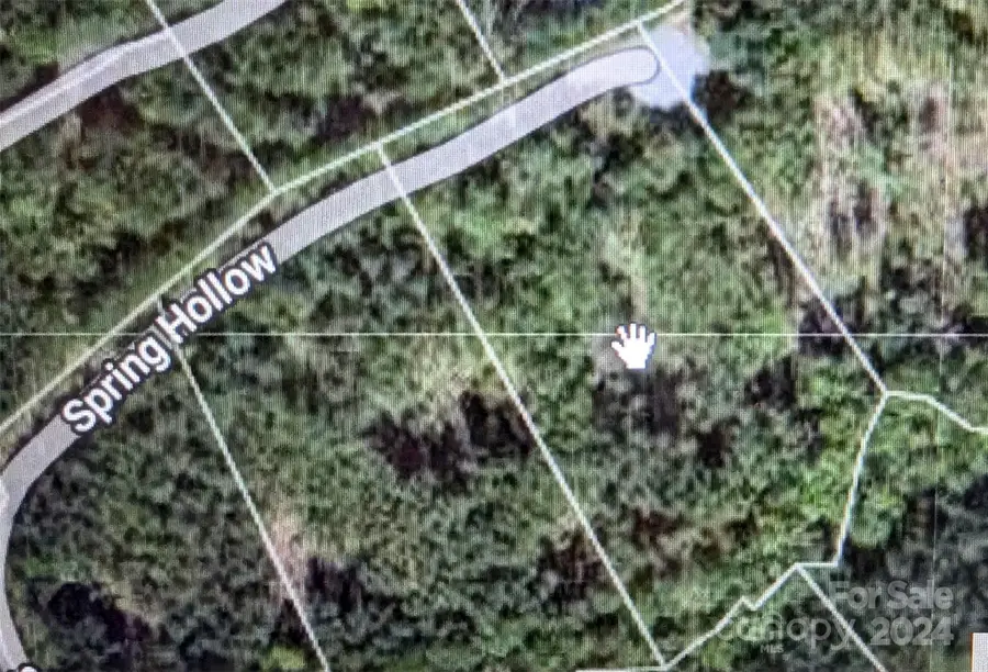 14 Spring Hollow Road, Lake Lure, NC 28746 - Image #3