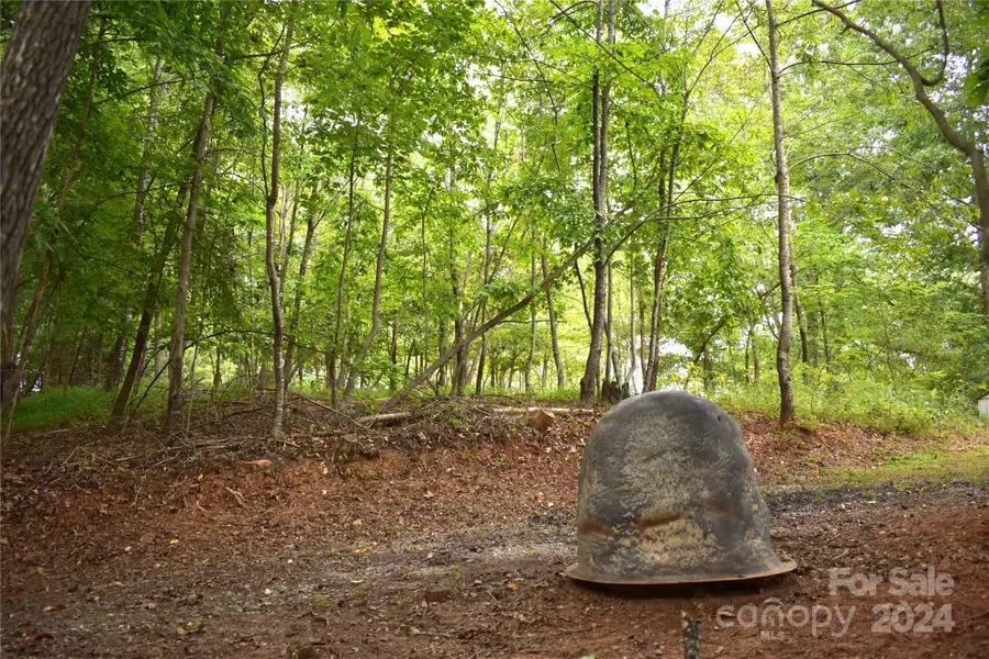 0 Ridgeview Circle #20 & 21, Lake Lure, NC 28746 - Image #3