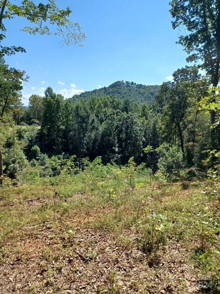 Lot 516 White Oak Way, Lenoir, NC 28645 - Image #1