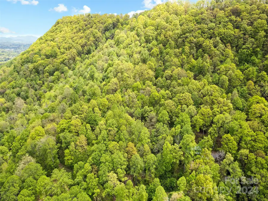 00 Locust Trail, Waynesville, NC 28785 - Image #2