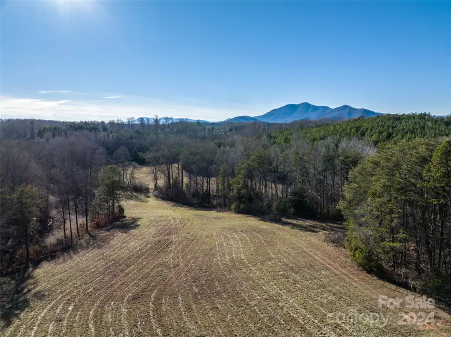 Lot 48.1 Ar Thompson Road, Mill Spring, NC 28756 - #3