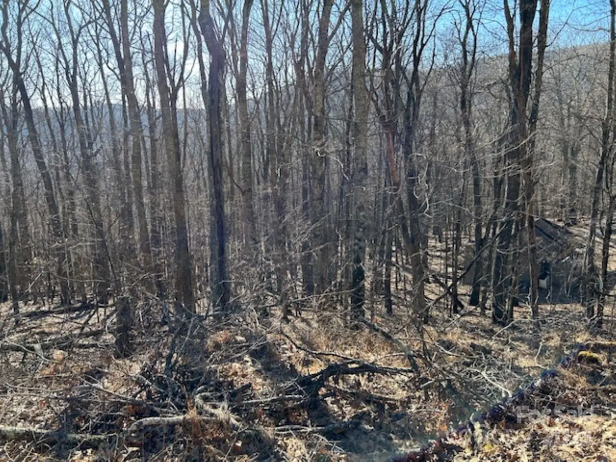 337 Hamlin Lane #96, Mars Hill, NC 28754 - Image #1