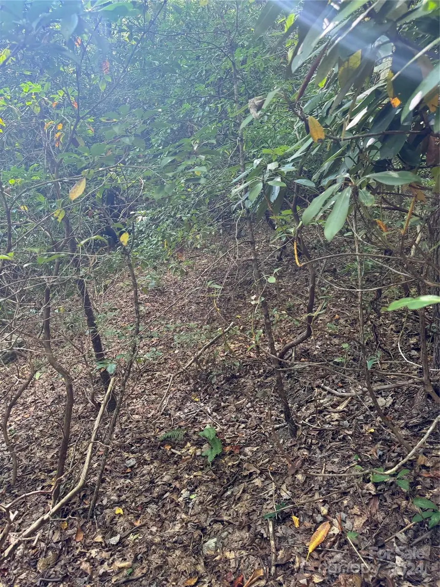 TBD Cutshall Town Road, Marshall, NC 28753 - Image #2