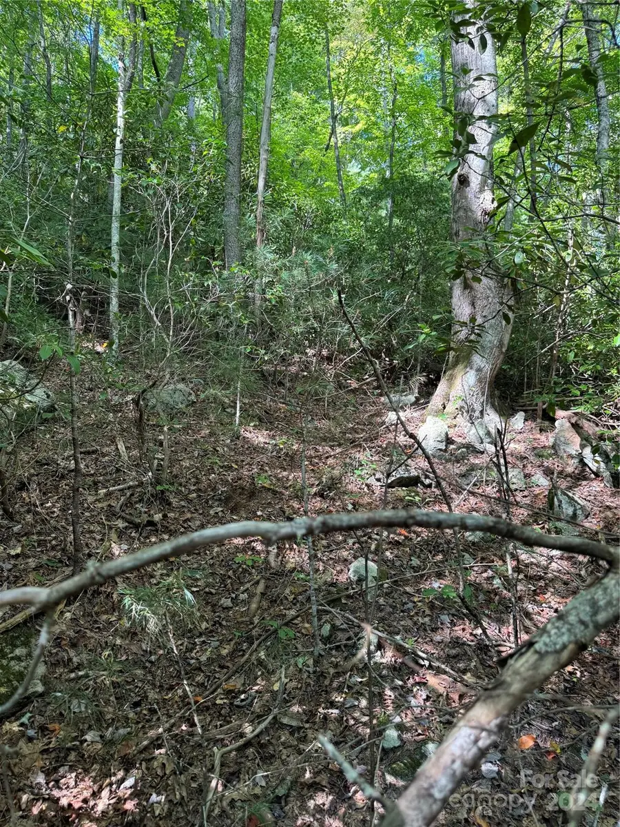 TBD Cutshall Town Road, Marshall, NC 28753 - Image #3