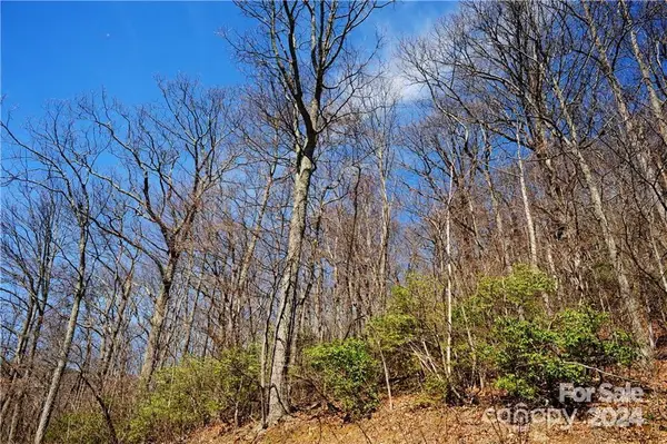 35 Wedgewood Terrace #1104, Black Mountain, NC 28711