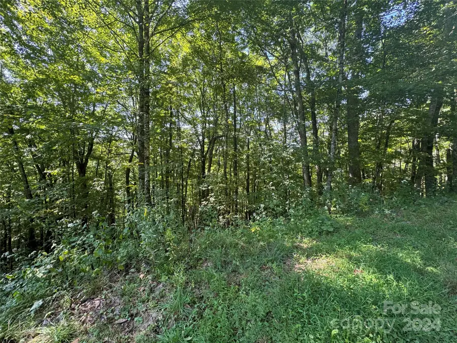 229 Hanging Rock Road, Mars Hill, NC 28754 - Image #2