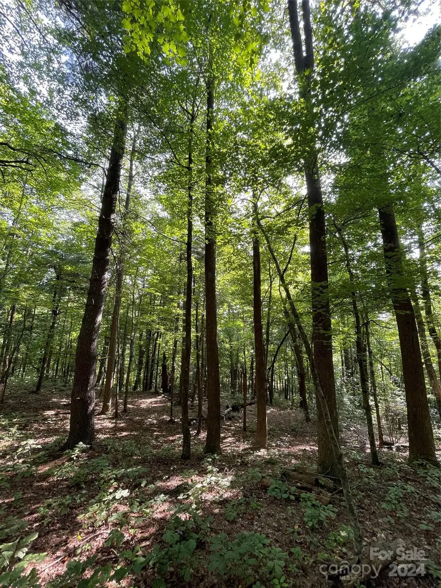 Lot 20 Haverhill Court #20, Flat Rock, NC 28731 - Image #3