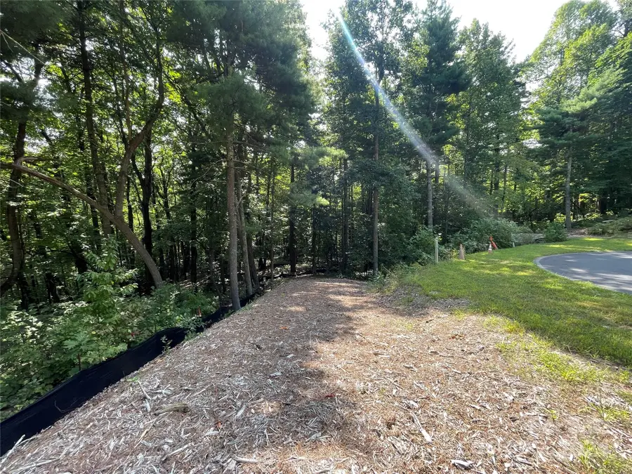 Lot # 21 Haverhill Court #21, Flat Rock, NC 28731 - Image #3