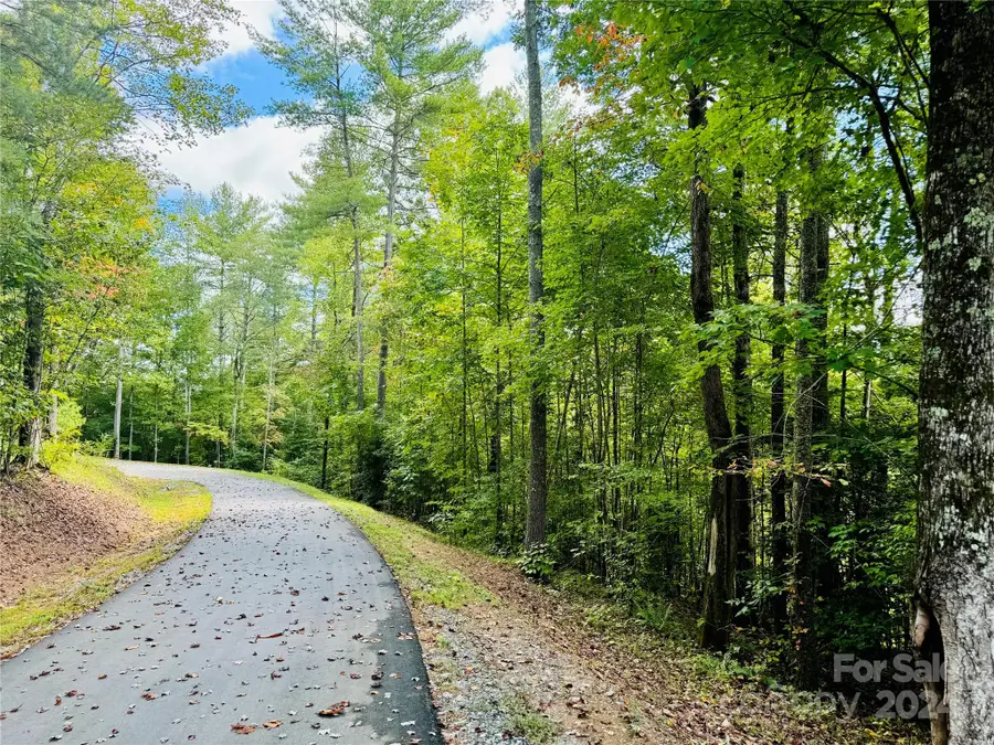 10.21, acres Lot 90  1981 Round Mountain Parkway #90, Lenoir, NC 28645 - #3