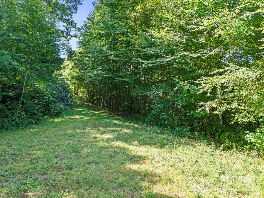 4.8 Acres Mountain Lily Ridge Drive, Swannanoa, NC 28778 - Image #3