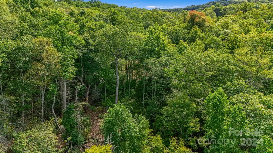 Lot D52 Springwater Road, Glenville, NC 28736 - Image #3