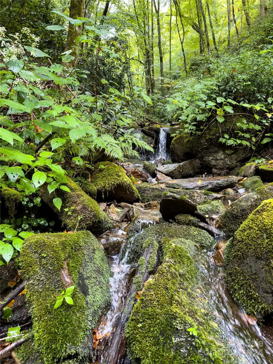 Lot 59 Black Rock Road #59, Qualla, NC 28719 - Image #2