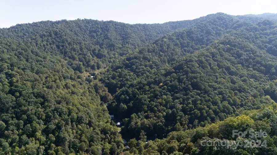 9999 Kelses Valley Drive, Mars Hill, NC 28754 - Image #3