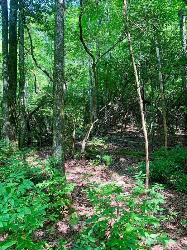 TBD Double Creek Drive #6, Brevard, NC 28712