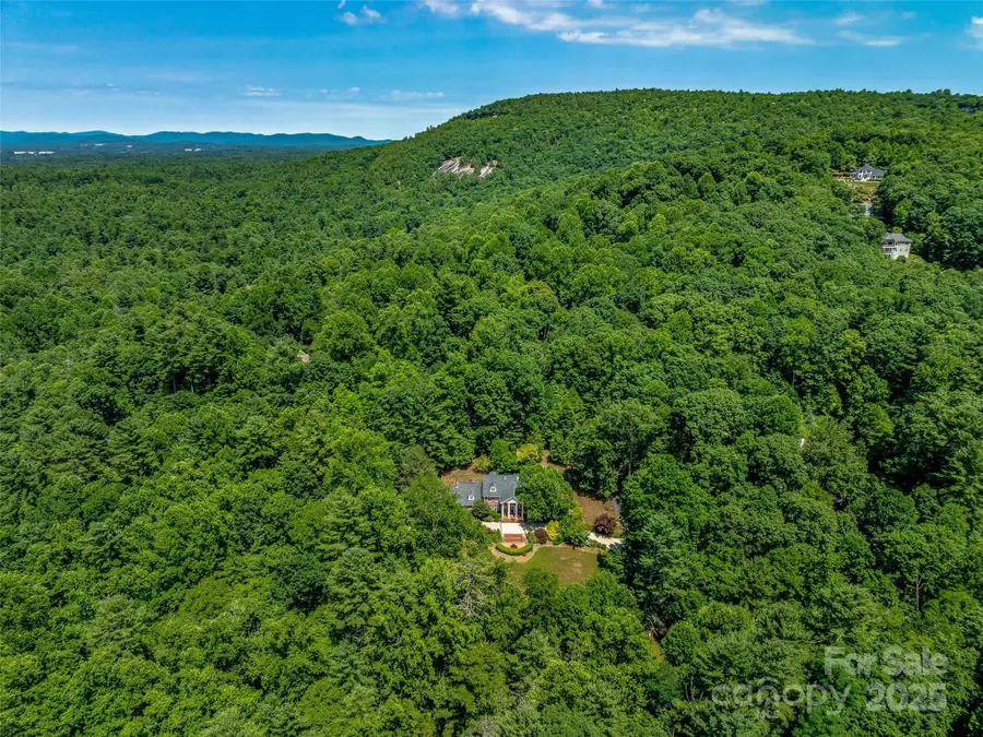 163 Northern Lights Lane, Hendersonville, NC 28739 - Image #2