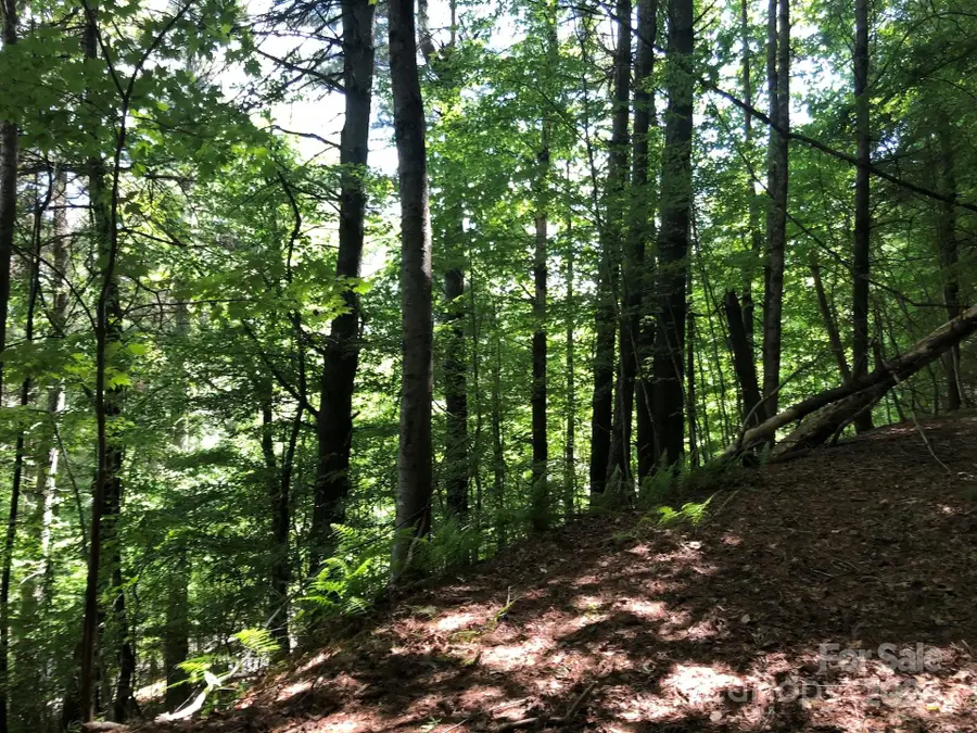 000 N Blue Ridge Parkway E #167, Jefferson, NC 28640 - Image #3