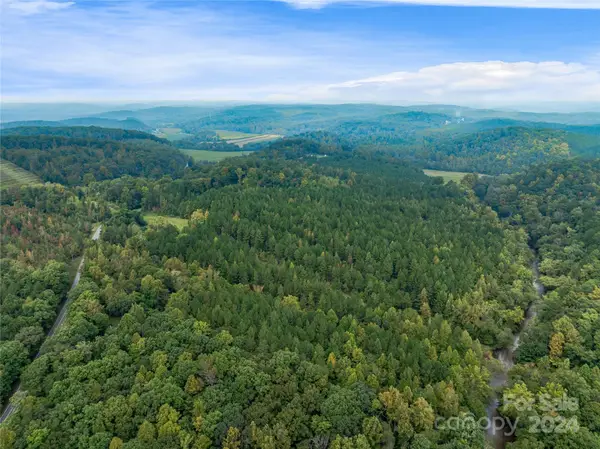 +/- 53 acres John Watson Road, Rutherfordton, NC 28139