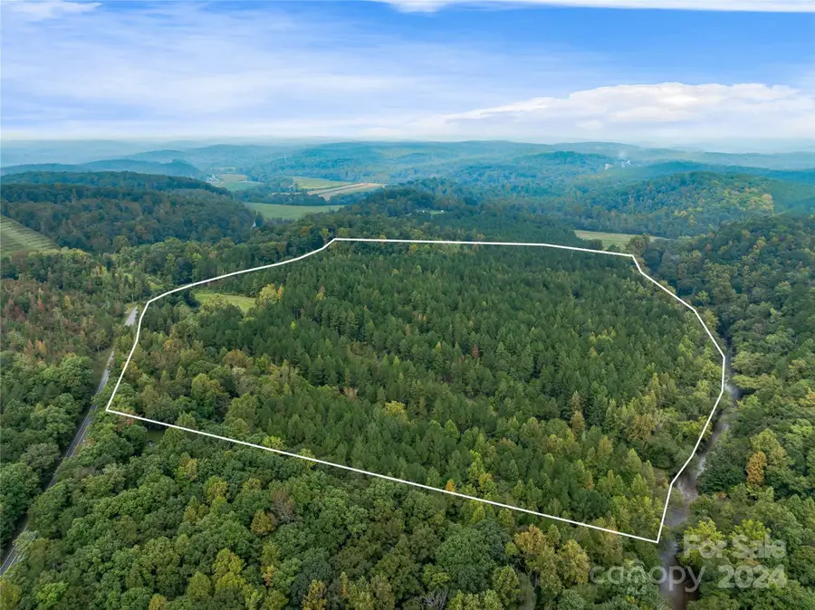 +/- 53 acres John Watson Road, Rutherfordton, NC 28139 - Image #2