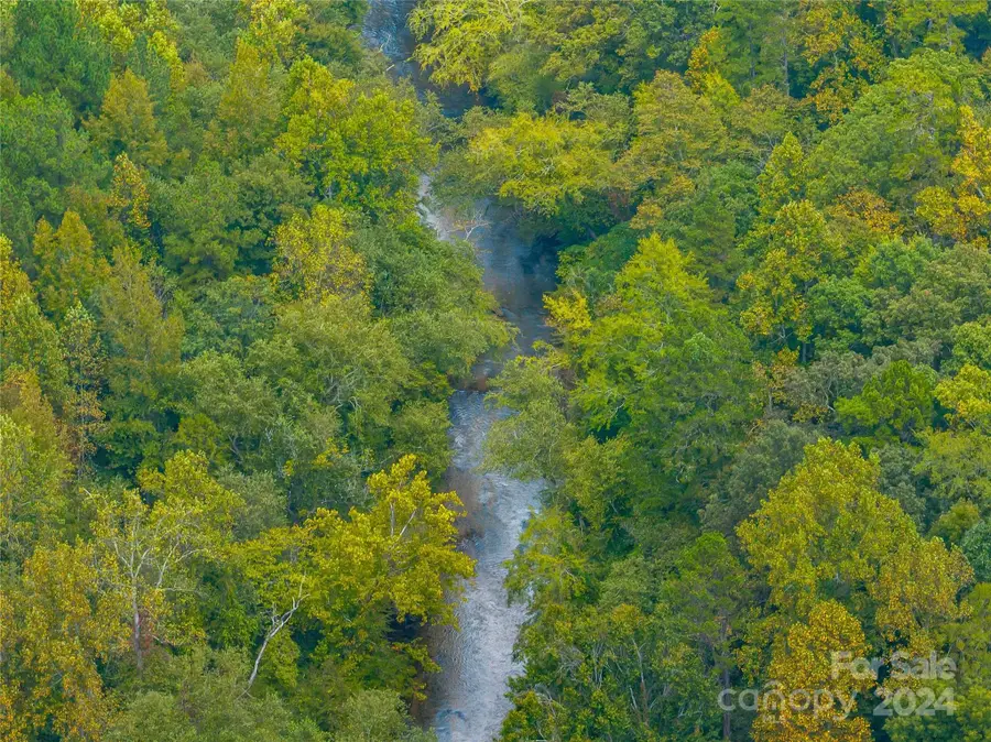 +/- 53 acres John Watson Road, Rutherfordton, NC 28139 - Image #3