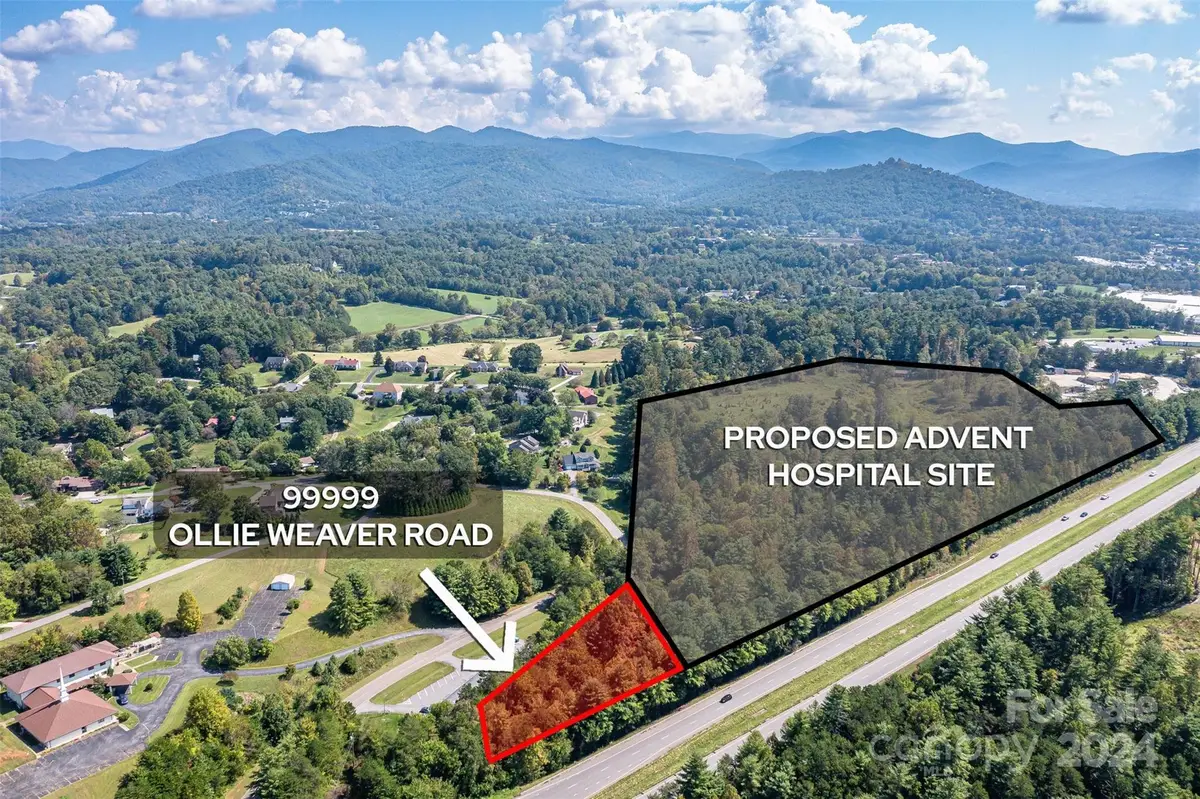 99999 Ollie Weaver Road, Weaverville, NC 28787 - Image #1