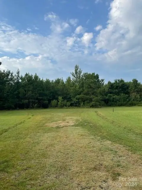 0 Healing Springs Road, Timmonsville, SC 29161 - Image #1