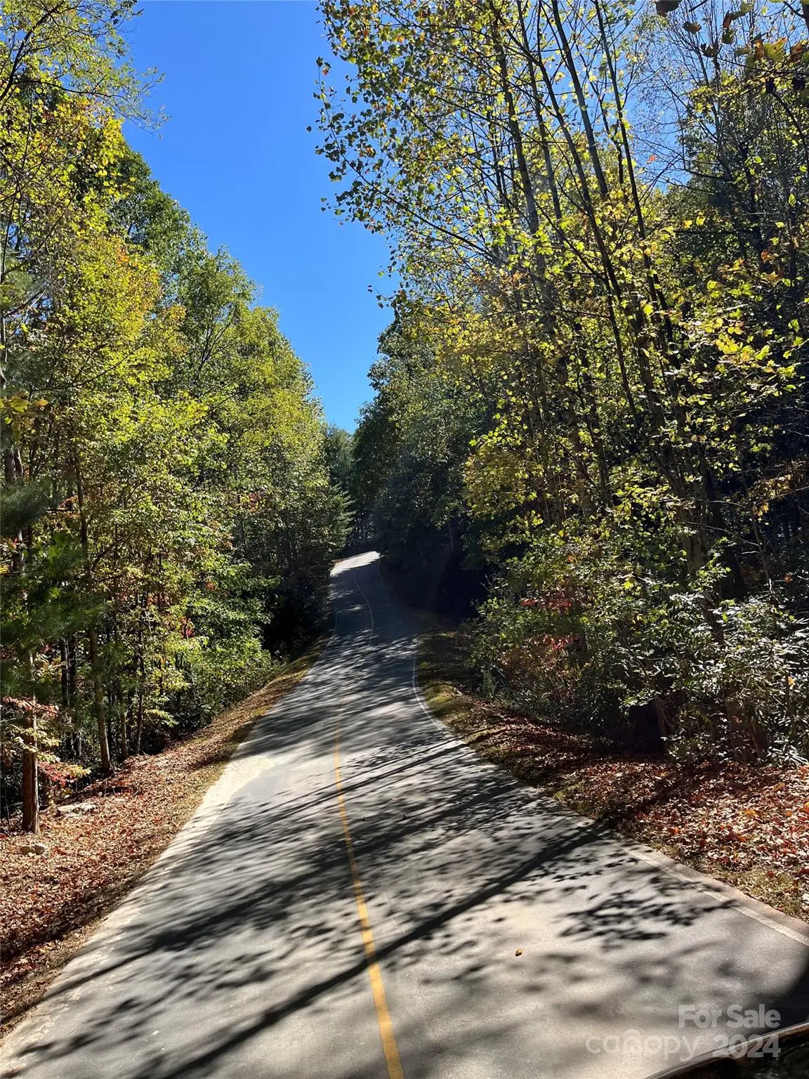 103 Chestnut Way, Flat Rock, NC 28731 - Image #1