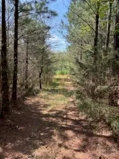 0 Ingold School Road, Albemarle, NC 28001 - Image #1