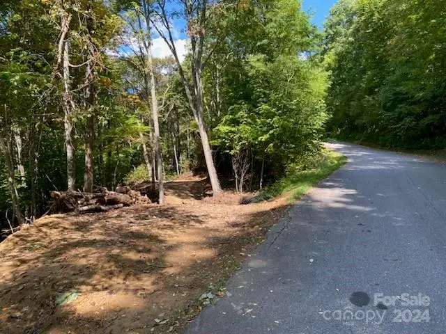 Lot G42 Odalu Trail #G42, Maggie Valley, NC 28751 - Image #3