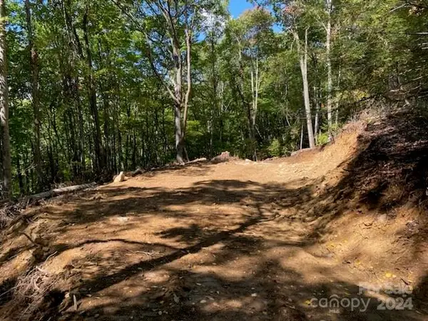 Lot G-43 Odalu Trail #G43, Maggie Valley, NC 28751