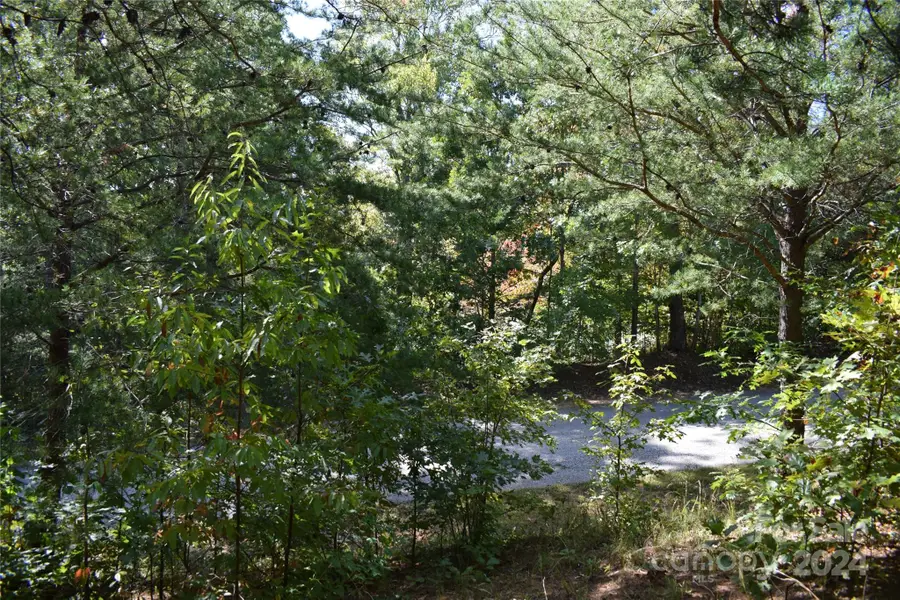 0 Holland Drive #3, Columbus, NC 28722 - Image #2