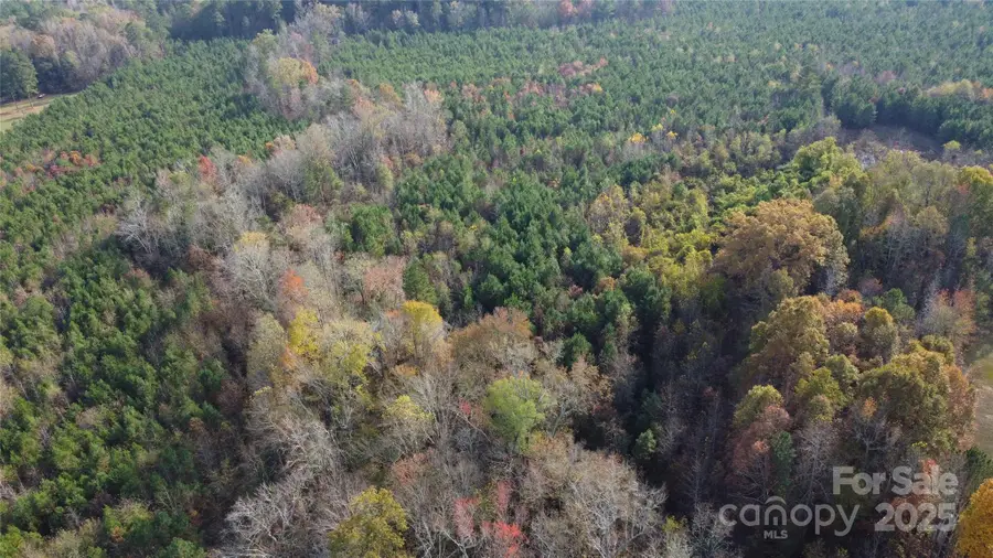 2351 Reges Store Road, Nashville, NC 27856 - Image #3