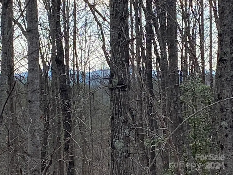 1483 Round Mountain Parkway #59, Lenoir, NC 28645 - Image #2