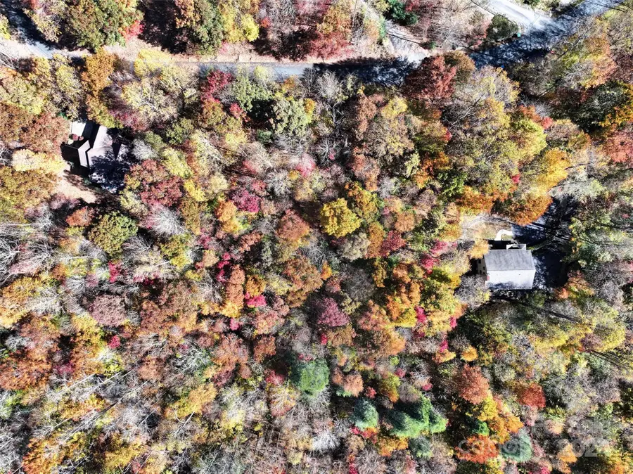 829 Stoney Stream Lane, Arden, NC 28704 - Image #2