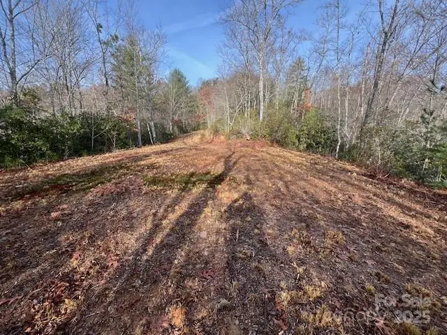 LOT 2 Tobacco Branch Road, Almond, NC 28702 - Image #2