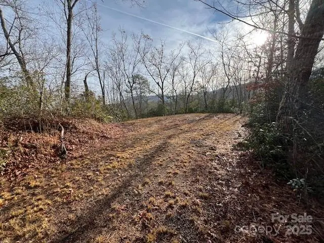 LOT 2 Tobacco Branch Road, Almond, NC 28702 - Image #3