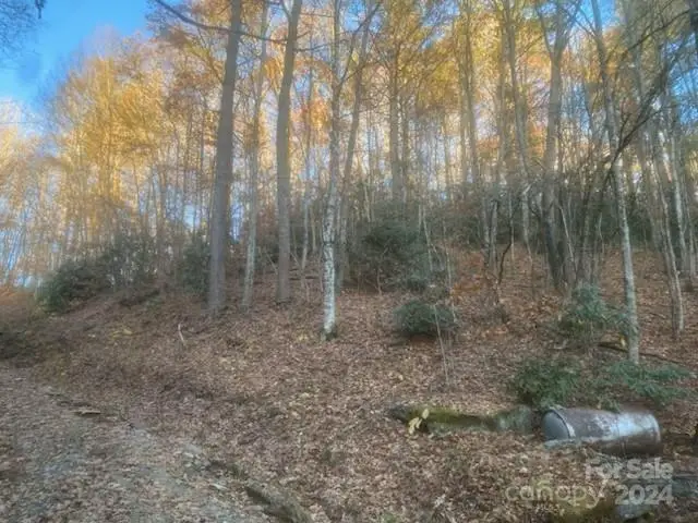 000 Stamey Branch Road, Newland, NC 28657 - #1