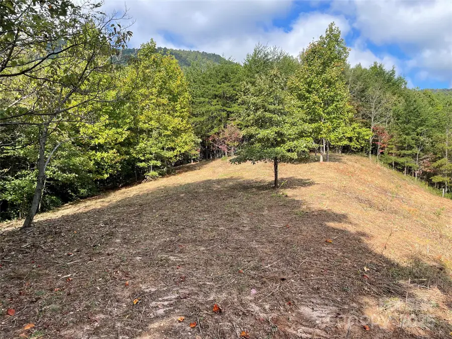 00 Birkdale Drive #159, Mill Spring, NC 28756 - Image #3