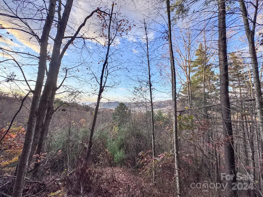 55 Bartrams Walk Drive #7, Asheville, NC 28804 - Image #2