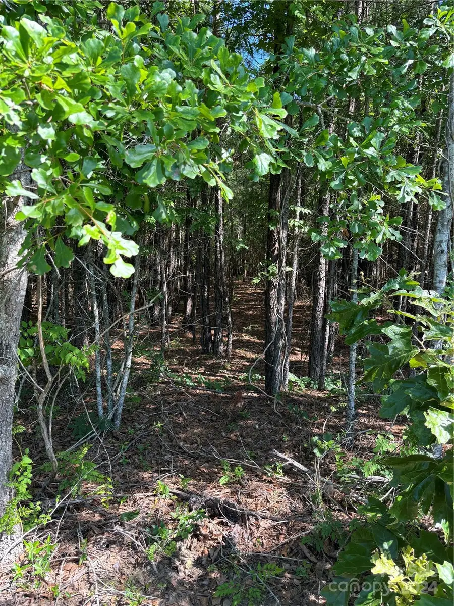 0 Black River Road #1, Camden, SC 29128 - Image #2