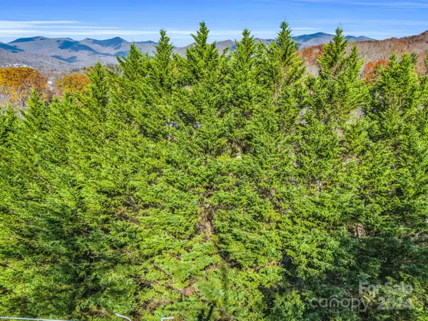 101 Cottage Settings Lane #283, Black Mountain, NC 28711