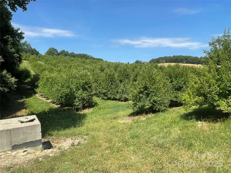 TBD Summer Road, Hendersonville, NC 28792 - Image #3