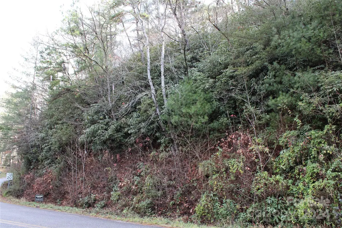 TBD Stamey Creek Road, Brevard, NC 28712 - Image #1