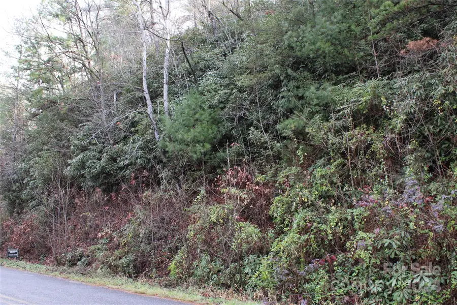 TBD Stamey Creek Road, Brevard, NC 28712 - Image #2