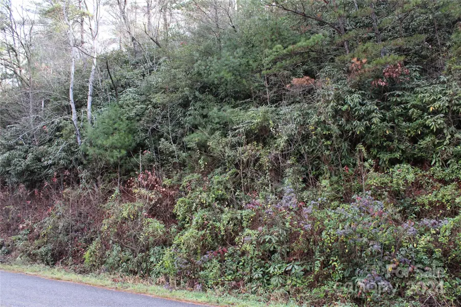 TBD Stamey Creek Road, Brevard, NC 28712 - Image #3