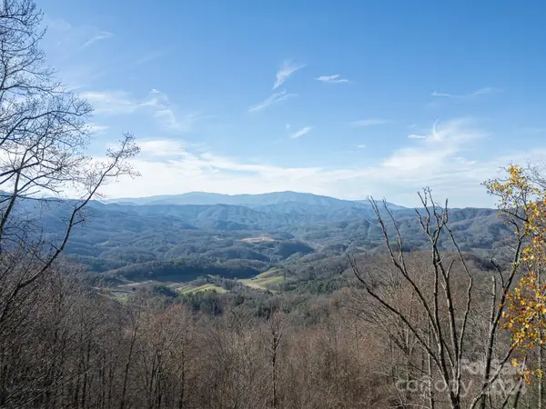 0000 Hyacinth Drive, Clyde, NC 28721