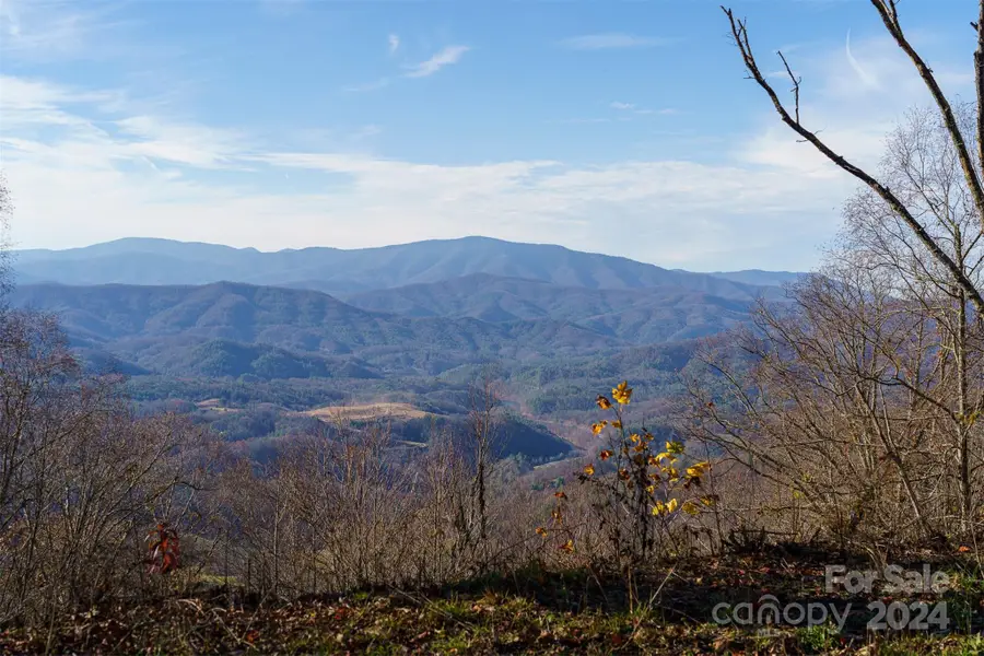 0000 Hyacinth Drive, Clyde, NC 28721 - Image #3