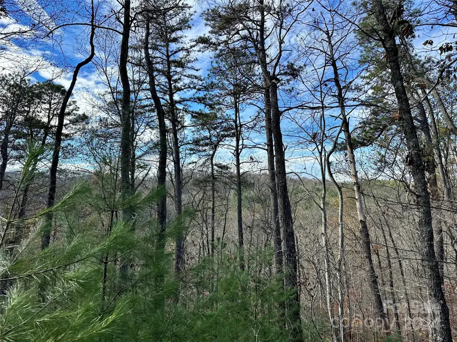 625 White Water Way #25, Marshall, NC 28753 - Image #3