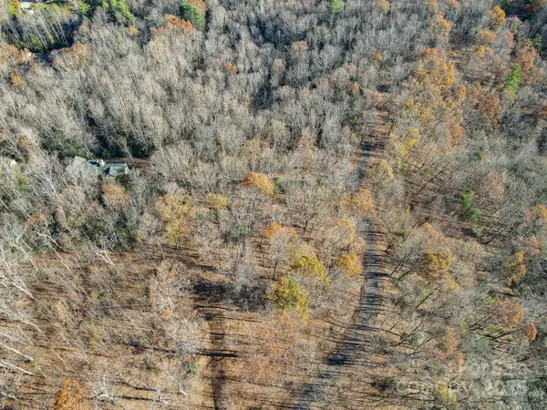 99999 Black Bear Ridge Trail, Zirconia, NC 28790