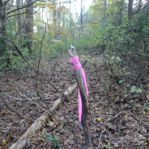 187 Caravan Lane, Mocksville, NC 27028 - Image #3