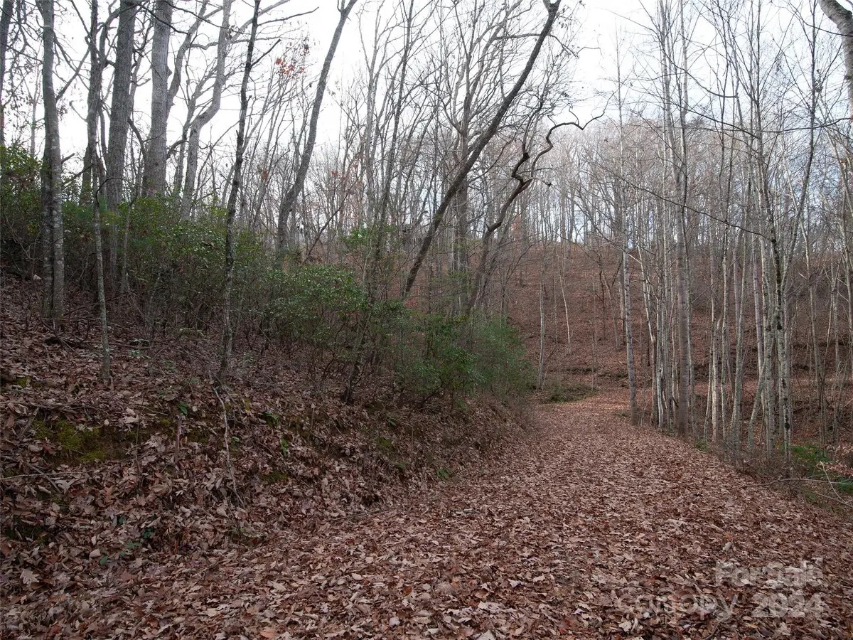 000 Beacon Rock Lane #Lot 211, Waynesville, NC 28786 - Image #1